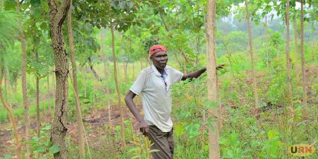 Agri Forestry ELOI Ministries