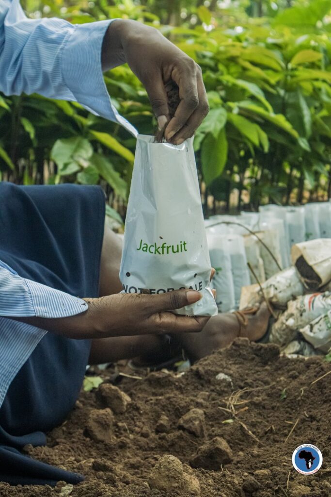 WhatsApp Image 2024 06 07 at 11.32.21 AM 1 ELOI Ministries