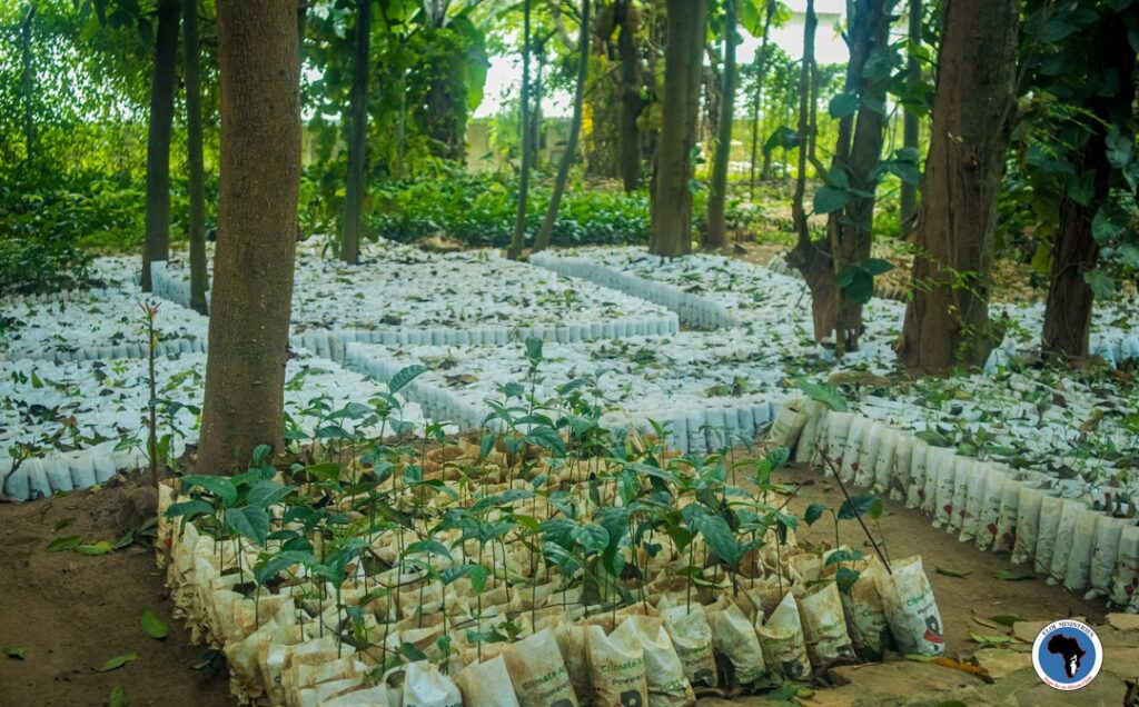 WhatsApp Image 2024 06 07 at 11.32.21 AM ELOI Ministries