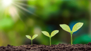 Focus on the environment ELOI Ministries